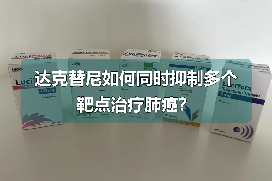达克替尼如何同时抑制多个靶点治疗肺癌?